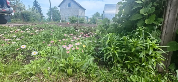
  Продается дача, 41 м², СНТ Буревестник (Советский р-н)
. Фото 32.