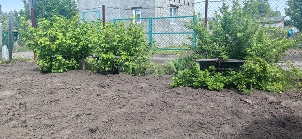 
  Продается дача, 41 м², СНТ Буревестник (Советский р-н)
. Фото 33.