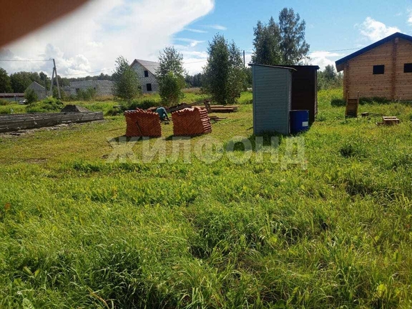 
  Продается земельный участок, 7.24 соток, ДНТ Патриот
. Фото 2.