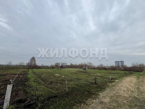 
  Продается земельный участок, 12 соток, село Криводановка
. Фото 2.