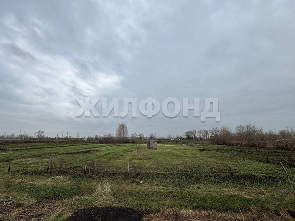 
  Продается земельный участок, 12 соток, село Криводановка
. Фото 4.
