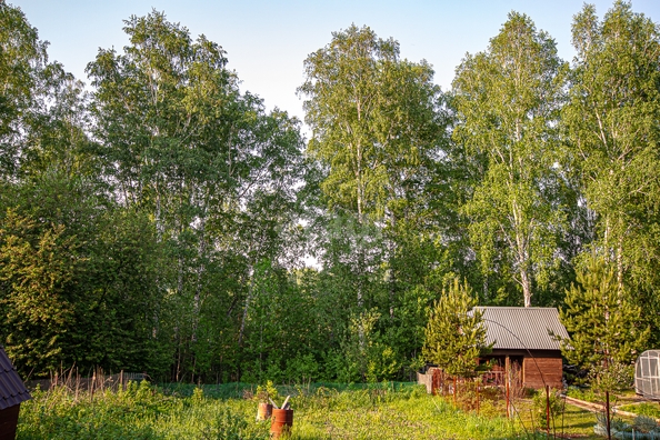 
  Продается дача, 30 м², СНТ Ромашка
. Фото 18.