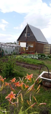 
  Продается дача, 40 м², СНТ Мошковское
. Фото 14.