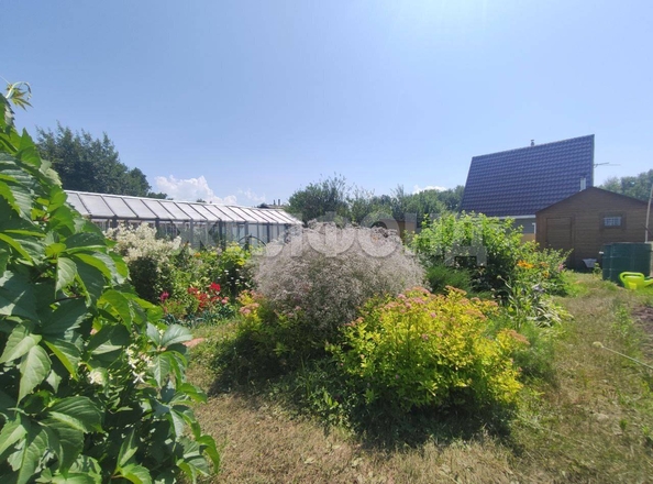 
  Продается дача, 40 м², садовое товарищество Солнечный (Морской сельсовет)
. Фото 11.