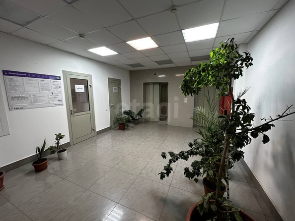 
  Продается студия, 25.1 м², Романтиков ул, д. 2
. Фото 16.
