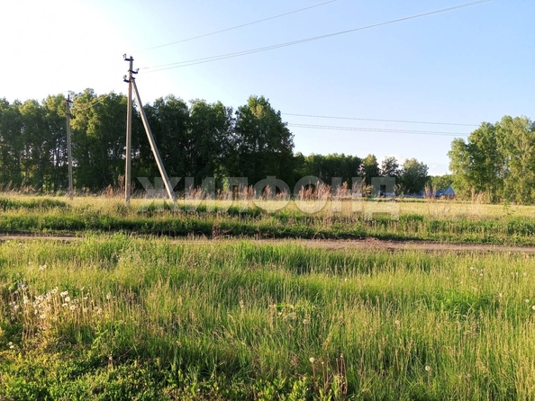 
  Продается земельный участок, 18 соток, деревня Ярково
. Фото 1.