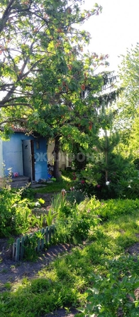 
  Продается земельный участок, 9 соток, село Криводановка
. Фото 5.
