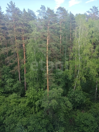 
  Продается 1-комн. квартира, 39 м², Экваторная ул, д. 16
. Фото 5.
