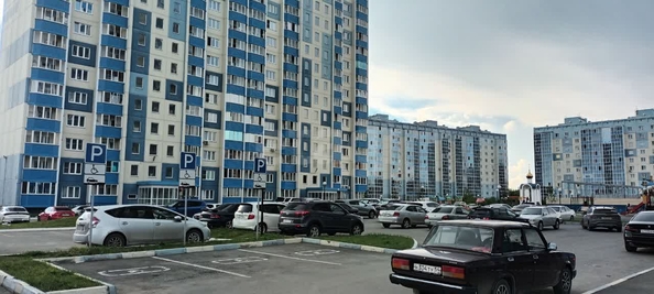 
  Сдается 1-комн. квартира, 31 м², Вертковская ул, д. 125
. Фото 10.