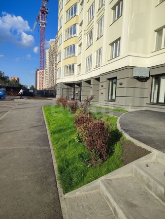 
  Сдается 1-комн. квартира, 28 м², Дуси Ковальчук ул, д. 242
. Фото 5.