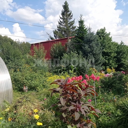 
  Продается дом, 65 м², Новосибирск
. Фото 23.