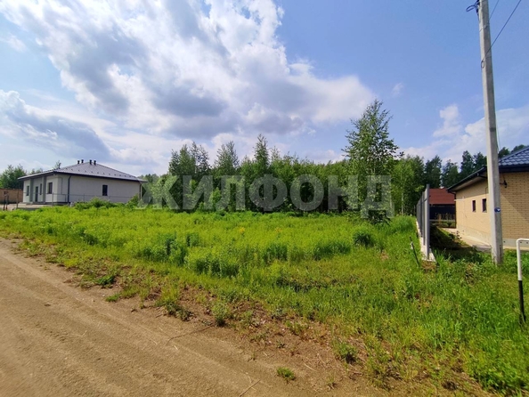 
  Продается земельный участок, 12 соток, поселок Октябрьский
. Фото 4.