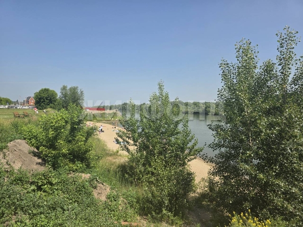 
  Продается земельный участок, 55 соток, дачный поселок Кудряшовский
. Фото 12.