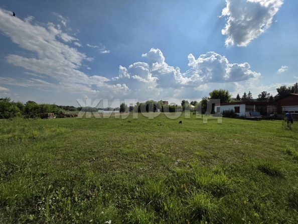 
  Продается земельный участок, 55 соток, дачный поселок Кудряшовский
. Фото 4.