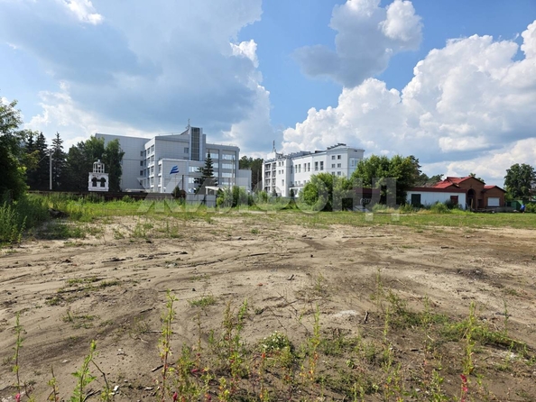 
  Продается земельный участок, 55 соток, дачный поселок Кудряшовский
. Фото 10.