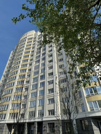 
  Продается 3-комн. квартира, 115.2 м², Дуси Ковальчук ул, д. 242
. Фото 7.