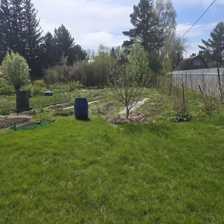 
  Продается дача, 32 м², СНТ Электрон (Кубовинский сельсовет)
. Фото 17.