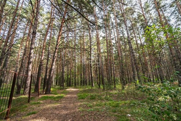 
  Продается студия, 26 м², Морская ул, д. 44к4
. Фото 26.