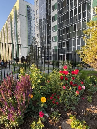 
  Сдается 1-комн. квартира, 25 м², Ватутина ул, д. 92/3
. Фото 8.