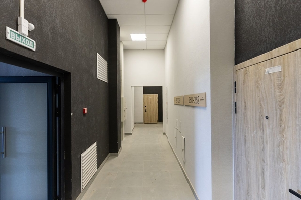 
  Продается 3-комн. квартира, 74.4 м², ЖК Ежевика
. Фото 12.