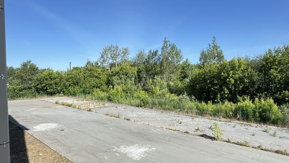 
  Продается 3-комн. квартира, 78.6 м², Ивлева ул, д. 160
. Фото 19.