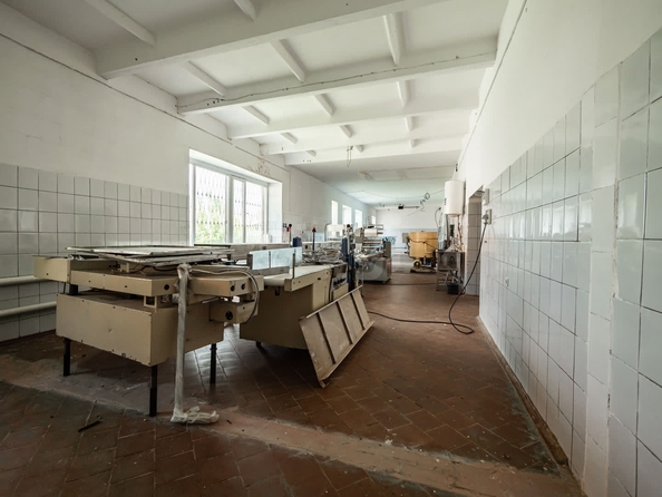 
  Сдается готовый бизнес, 1690 м², Набережная ул, д. 1а/1
. Фото 14.