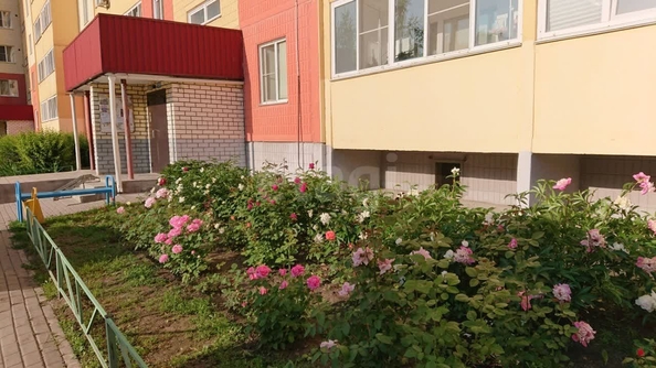 
  Сдается 1-комн. квартира, 34.1 м², Петухова ул, д. 12/5
. Фото 13.