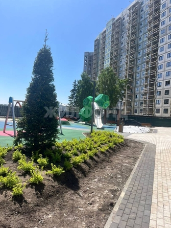 
  Продается студия, 25.1 м², Летный мкр, д. 31
. Фото 15.