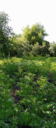 
  Продается дача, 20 м², село Криводановка
. Фото 2.