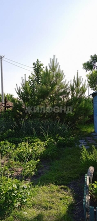 
  Продается дача, 20 м², село Криводановка
. Фото 3.