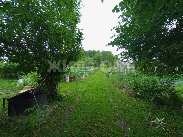 
  Продается дом, 57.7 м², село Плотниково
. Фото 26.