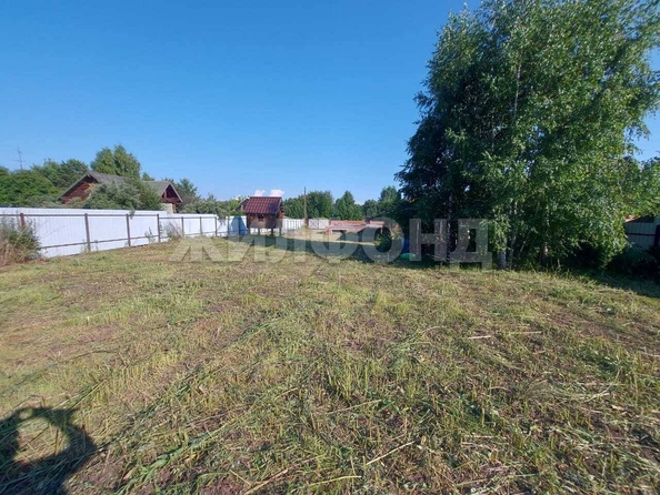
  Продается земельный участок, 14 соток, село Боровое
. Фото 2.