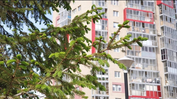 
  Продается 3-комн. квартира, 80.1 м², Вилюйская ул
. Фото 24.