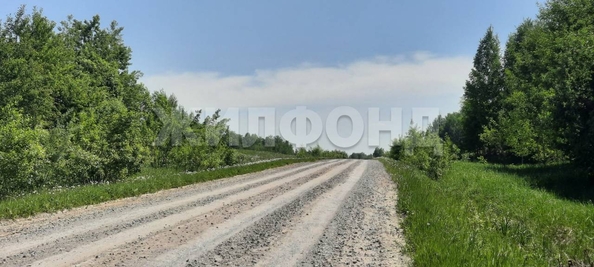 
  Продается земельный участок, 48 соток, ДНТ Синегорье
. Фото 13.