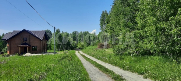 
  Продается земельный участок, 48 соток, ДНТ Синегорье
. Фото 4.