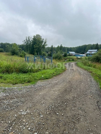 
  Продается земельный участок, 100 соток, село Льниха
. Фото 2.