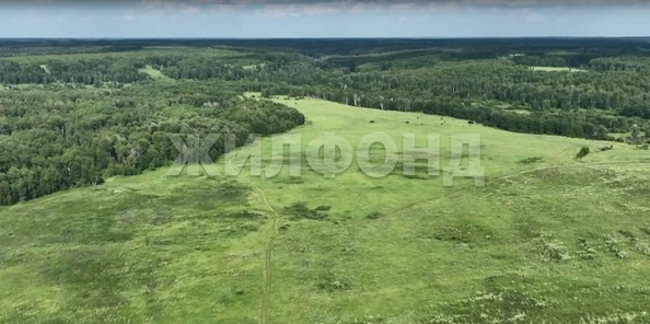 
  Продается земельный участок 7800 соток. Фото 2.