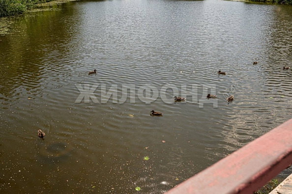 
  Продается 2-комн. квартира, 69.2 м², Федора Горячева ул, д. 59
. Фото 27.