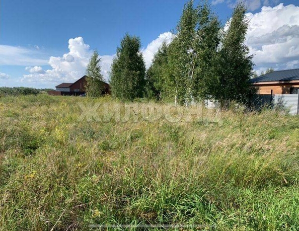 
  Продается земельный участок, 8.03 соток, село Верх-Тула
. Фото 6.
