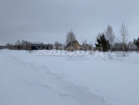 
  Продается земельный участок 8.03 соток. Фото 4.