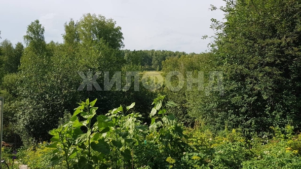 
  Продается дача, 60 м², станция Мочище
. Фото 8.