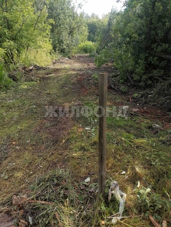 
  Продается земельный участок, 10 соток, Новосибирск
. Фото 1.