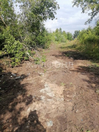
  Продается земельный участок, 10 соток, Новосибирск
. Фото 2.
