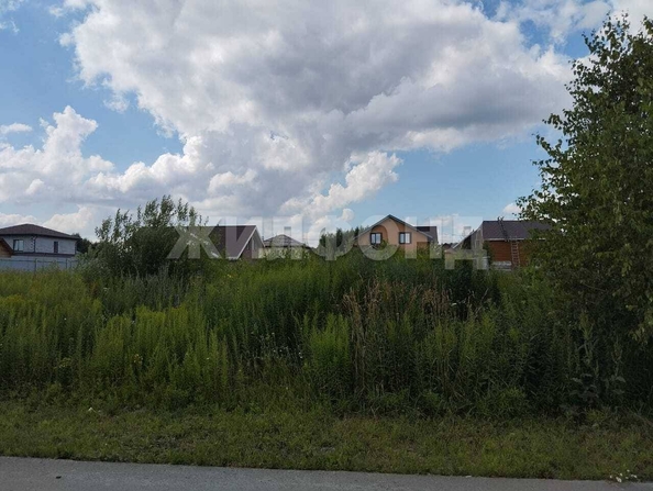 
  Продается земельный участок, 10 соток, село Каменка
. Фото 1.