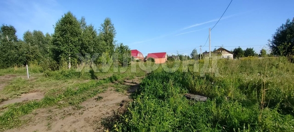 
  Продается земельный участок, 19.06 соток, село Морозово
. Фото 6.