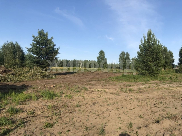 
  Продается земельный участок, 19.06 соток, село Морозово
. Фото 11.