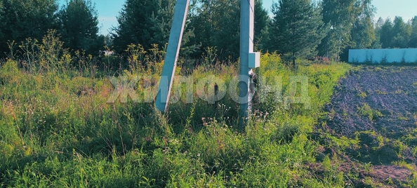 
  Продается земельный участок, 19.06 соток, село Морозово
. Фото 13.