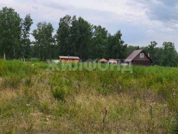 
  Продается земельный участок, 9 соток, село Пайвино
. Фото 2.