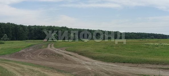 
  Продается земельный участок 10 соток. Фото 4.
