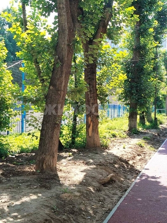 
  Продается 1-комн. квартира, 42.2 м², Кошурникова ул, д. 10
. Фото 13.